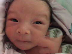 染色体易位代妈成功植入两个健康胚胎