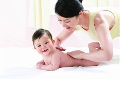 枸杞是个好东西代妈可以适当吃一些