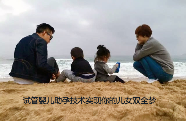 试管婴儿助孕技术实现你的儿女双全